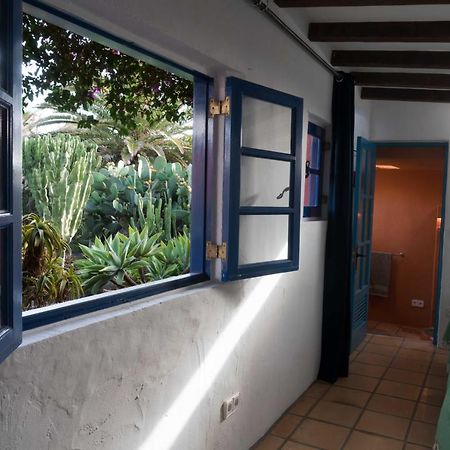 Casa Panama,In Der Finca Mimosa Teguise  Zewnętrze zdjęcie