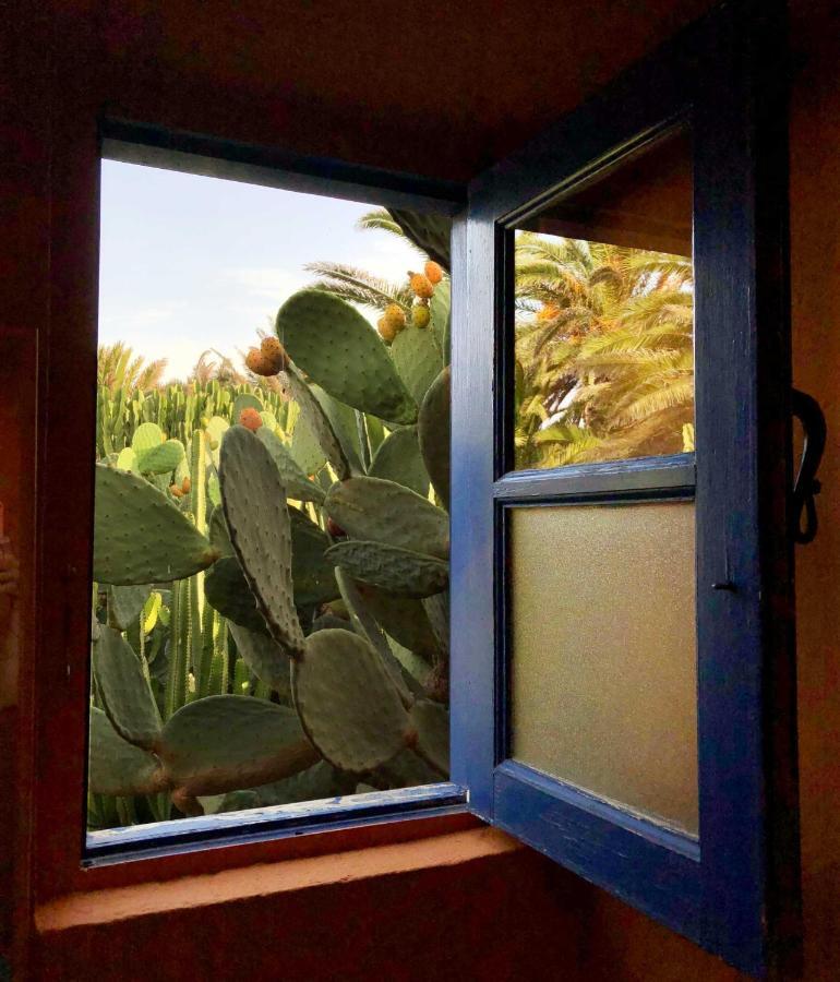 Casa Panama,In Der Finca Mimosa Teguise  Zewnętrze zdjęcie